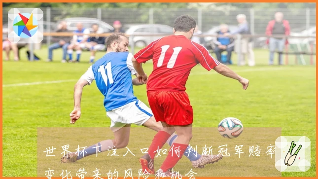 世界杯下注入口如何判断冠军赔率变化带来的风险和机会