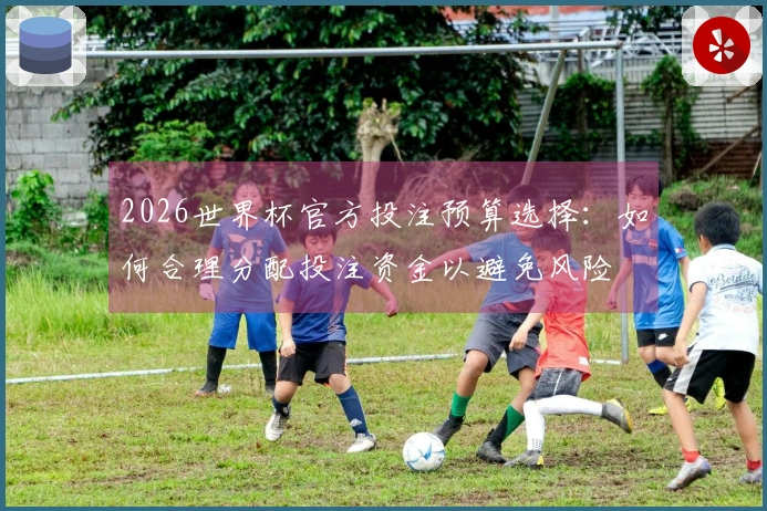 2026世界杯官方投注预算选择：如何合理分配投注资金以避免风险