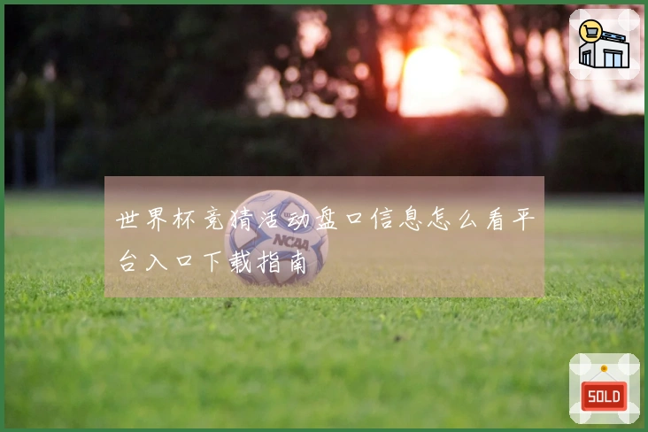 世界杯竞猜活动盘口信息怎么看平台入口下载指南