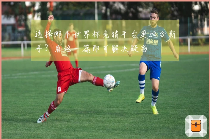 选择哪个世界杯竞猜平台更适合新手？看这一篇即可解决疑惑