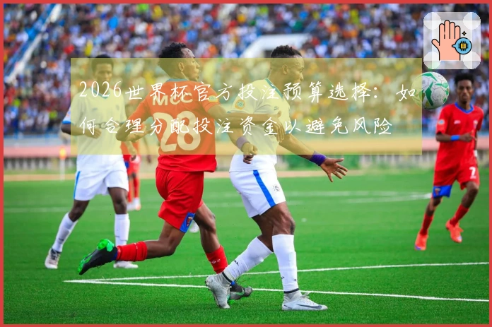 2026世界杯官方投注预算选择：如何合理分配投注资金以避免风险