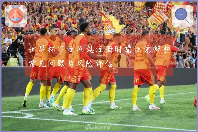 世界杯下注网站注册时需注意哪些常见问题与风险评估